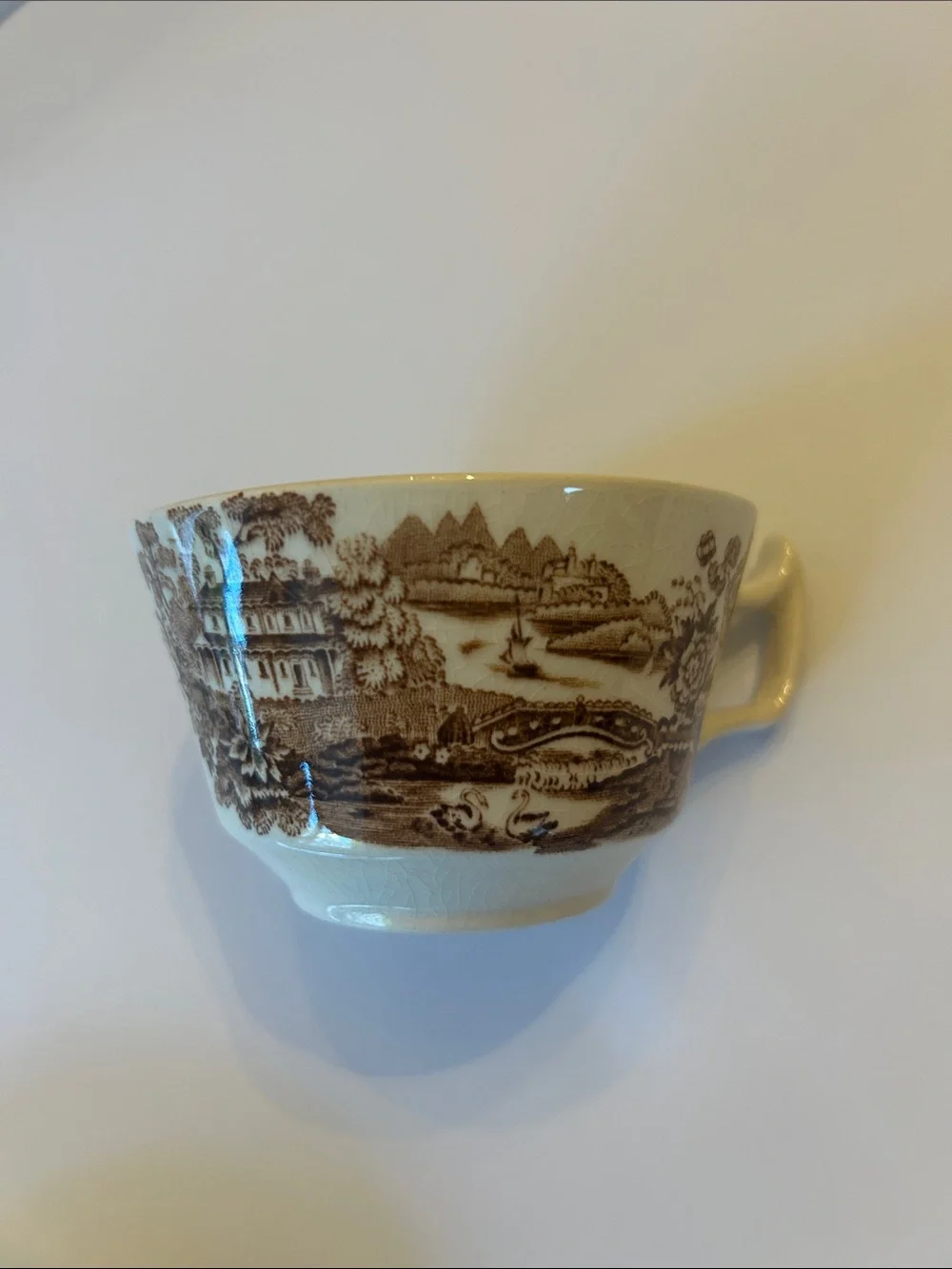 Royal Staffordshire Tonquin Brown Teacup & Saucer Set